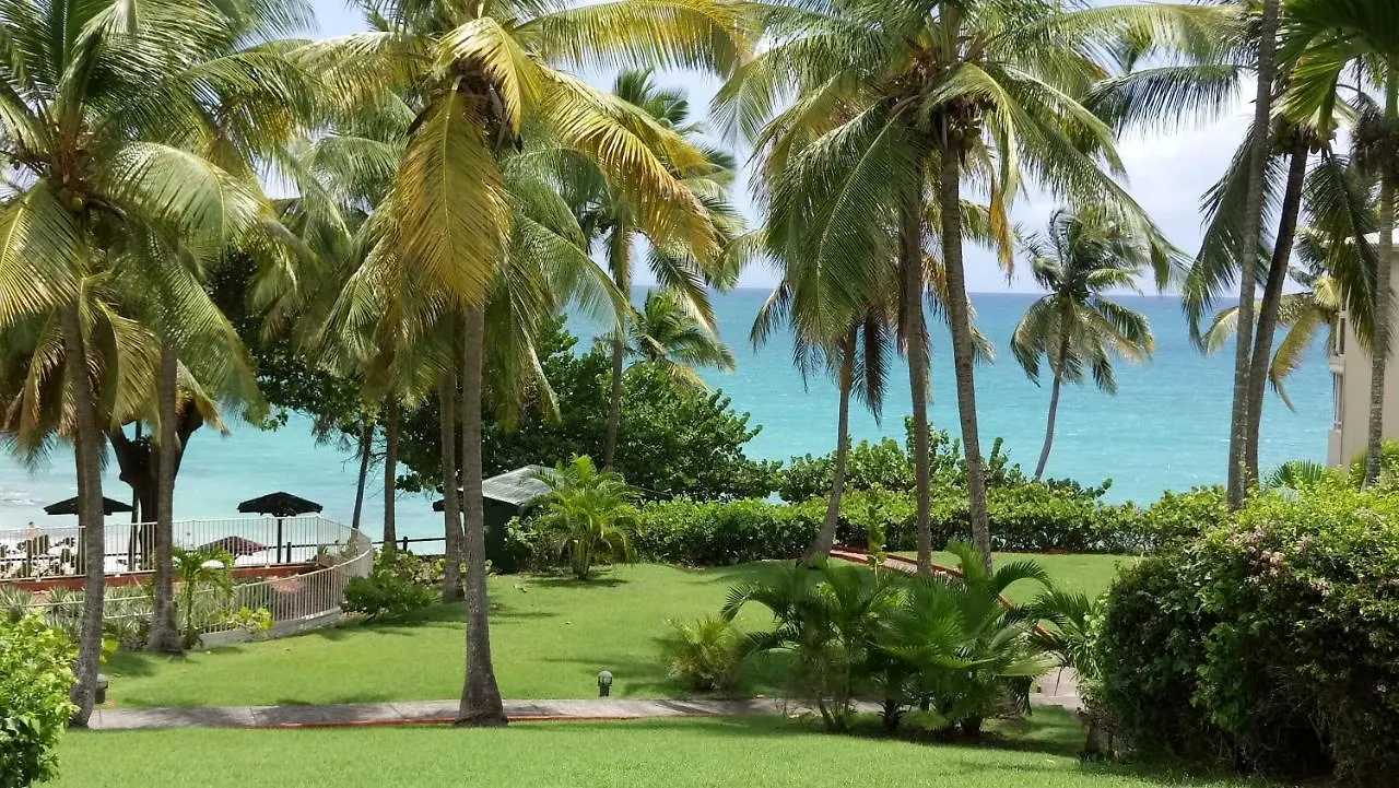 Apartamento Grand Studio Vue Mer, Acces Plage, Le Gosier Guadalupe